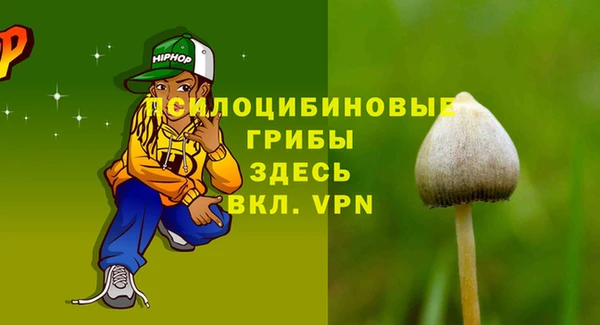 2c-b Белокуриха