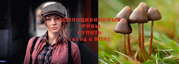 индика Балахна