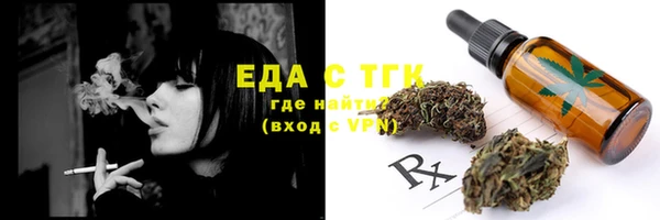индика Балахна