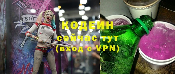 индика Балахна