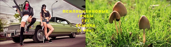 индика Балахна