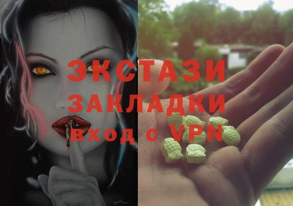 индика Балахна